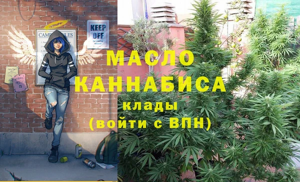 ГАЛЛЮЦИНОГЕННЫЕ ГРИБЫ Богданович