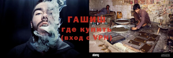 ГАЛЛЮЦИНОГЕННЫЕ ГРИБЫ Богданович