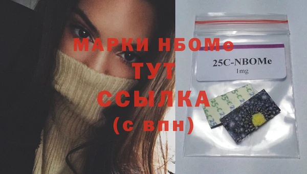 ГАЛЛЮЦИНОГЕННЫЕ ГРИБЫ Богданович