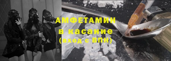 ГАЛЛЮЦИНОГЕННЫЕ ГРИБЫ Богданович