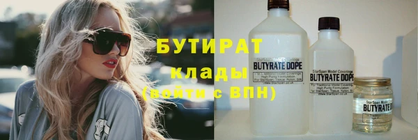 ГАЛЛЮЦИНОГЕННЫЕ ГРИБЫ Богданович