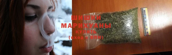 ГАЛЛЮЦИНОГЕННЫЕ ГРИБЫ Богданович